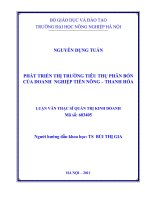 phát triển thị trường tiêu thụ phân bón của doanh nghiệp tiến nông thanh hóa