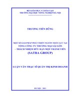 một số giải pháp phát triển nguồn nhân lực tại tổng công ty thương mại sài gòn – trách nhiệm hữu hạn một thành viên