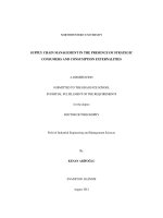 Supply chain management in the presence of strategic consumers and consumption externalities