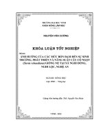 Ảnh hưởng của các mức bón đạm đến sự sinh trưởng, phát triển và năng suất cây cỏ ngọt (stevia rebaudiana bertoni) giống m2 tại xã nghi đồng, nghi lộc, nghệ an