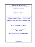 tác động của khu công nghiệp làng nghề đến phát triển kinh tế, xã hội và môi trường ở thị xã từ sơn, tỉnh bắc ninh