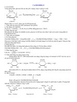 Bài tập cacbonhydrat và glucid