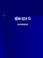 Bài giảng về bệnh dịch tả