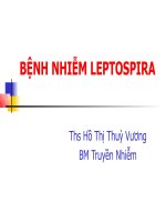 Bài giảng về bệnh nhiễm leptospira