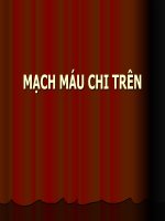 Bài giảng về mạch máu chi trên