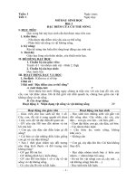 giáo án bồi dưỡng sinh học lớp 6 tham khảo theo chuẩn kiến thức kỹ năng