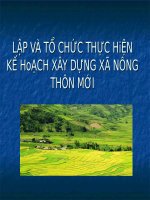 LẬP VÀ TỔ CHỨC THỰC HIỆN KẾ HOẠCH XÂY DỰNG XÃ NÔNG THÔN MỚI