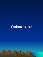 Bài giảng về sủi mào gà sinh dục