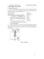 Đề tài sản xuất protein isolate từ đậu nành