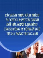 CÁC HÌNH THỨC KÍCH THÍCH TÀI CHÍNH  PHI TÀI CHÍNH ĐỐI VỚI NGƯỜI LAO ĐỘNG
