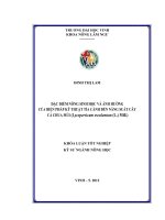 Đặc điểm nông sinh học và ảnh hưởng của biện pháp kỹ thuật tỉa cành đến năng suất cây cà chua múi (lycopersicum esculentum (l ) mill )