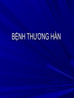 Bài giảng về bệnh thương hàn