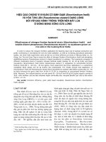 Hiệu quả chủng vi khuẩn cố định đạm (Sinorhizobium fredii) và hòa tan lân (Pseudomonas stutzeri) dạng lỏng đối với đậu nành trồng trên nền đất lúa ở ĐBSCL