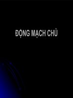 Bài giảng về động mạch chủ