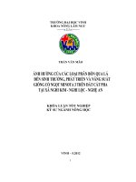 Ảnh hưởng của các loại phân bón qua lá đến sinh trưởng, phát triển và năng suất giống cỏ ngọt minota 3 trên đất cát pha tại xã nghi kim   nghi lộc   nghệ an