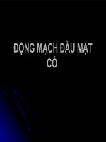 Bài giảng về động mạch đầu mặt cổ