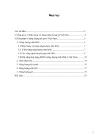 Tổng hợp, phân tích kỹ thuật và tiềm năng ứng dụng năng lượng mới và năng lượng tái tạo ở việt nam