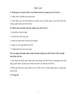 Mô hình năm lực lượng cạnh tranh của porter