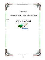 HỢP CHẤT MÀU HỮU CƠ. MÀU CÂY LÁ CẨM 1 131014
