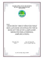 Chẩn đoán virus viêm não nhật bản (japanese encephalitis virus) bằng kỹ thuật rt lamp (loop mediated isolathermal amplification)