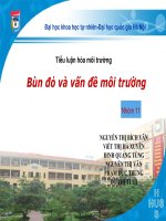 Bùn đỏ và vấn đề môi trường