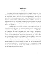 xây dựng hệ vi sinh vật sinh tổng hợp lactase