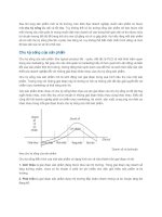 Sau khi tung sản phẩm mới ra thị trường