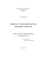 Nghiên cứu tổng hợp chất màu kẽm Ferit từ bùn đỏ