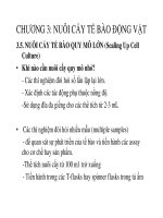 Chương 3 Nuôi cấy tế bào động vật phần 3 TS. Đặng Đức Long