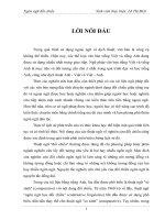 hệ thống các phương tiện của ngôn ngữ