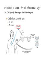 Chương 3 Nuôi cấy tế bào động vật phần 4 TS. Đặng Đức Long