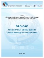 Xây dựng chiến lược phát triển dịch vụ môi trường đến năm 2020 và định hướng đến năm 2030