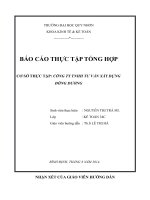 Báo cáo thực tập tổng hợp tại Công ty tư vấn xây dựng đông dương