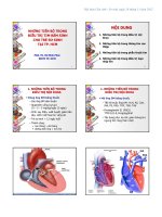 NHỮNG TIẾN BỘ TRONG  ĐIỀU TRỊ TIM BẨM SINH  CHO TRẺ SƠ SINH  TẠI TP. HCM