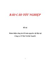 Hoàn thiện công tác kế toán nguyên vật liệu tại Công ty CP Đá Vôi Hà NamSS