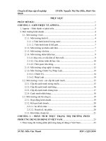 phát triển giải pháp nâng cao hiệu quả marketing online của hoạt động phân phối ứng dụng di động của appota ở việt nam