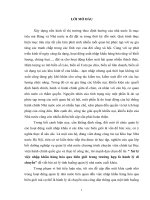 xử lý việc nhập khẩu hàng hóa qua biên giới trong trường hợp là hành lý di chuyển