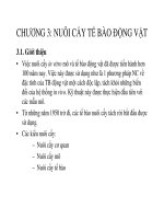 GIÁO TRÌNH NUÔI CẤY TẾ BÀO ĐỘNG VẬT PHẦN 1