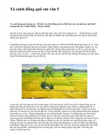 Tả cánh đồng quê em văn 5 - văn mẫu