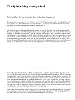 Tả cây hoa hồng nhung văn 4 - văn mẫu