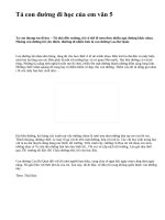 Tả con đường đi học của em văn 5 - văn mẫu