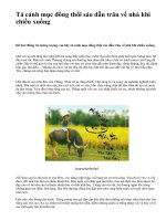 Tả cảnh mục đồng thổi sáo dẫn trâu về nhà khi chiều xuống - văn mẫu