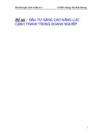 năng lực cạnh tranh trong đầu tư tại Việt nam