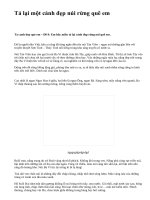 Tả lại một cảnh đẹp núi rừng quê em - văn mẫu