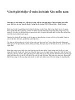 Văn 8 giới thiệu về món ăn bánh Xèo miền nam - văn mẫu