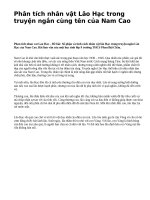 Phân tích nhân vật Lão Hạc trong truyện ngắn cùng tên của Nam Cao - văn mẫu