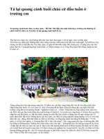 Tả lại quang cảnh buổi chào cờ đầu tuần ở trường em - văn mẫu