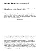 Giới thiệu về chiếc bánh trưng ngày tết - văn mẫu