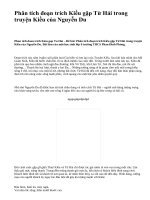 Phân tích đoạn trích Kiều gặp Từ Hải trong truyện Kiều của Nguyễn Du - văn mẫu