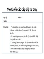 mô tả về các cấp độ tư duy (1)
